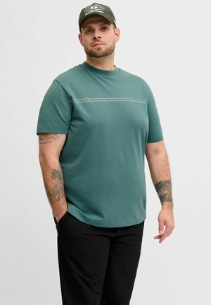 PLUS SIZE  - T-shirt print - north atlantic
