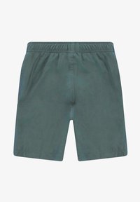 Donkergroene, knielange shorts gemaakt van lichtgewicht stof. Voorzien van een elastische tailleband en een recht model zonder zakken.
