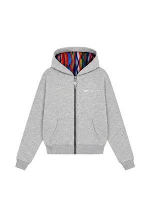 Colucci, IKARUS BACKPRINT ZIP-HOODIE - Sudadera con cremallera - grey melange   aop multi