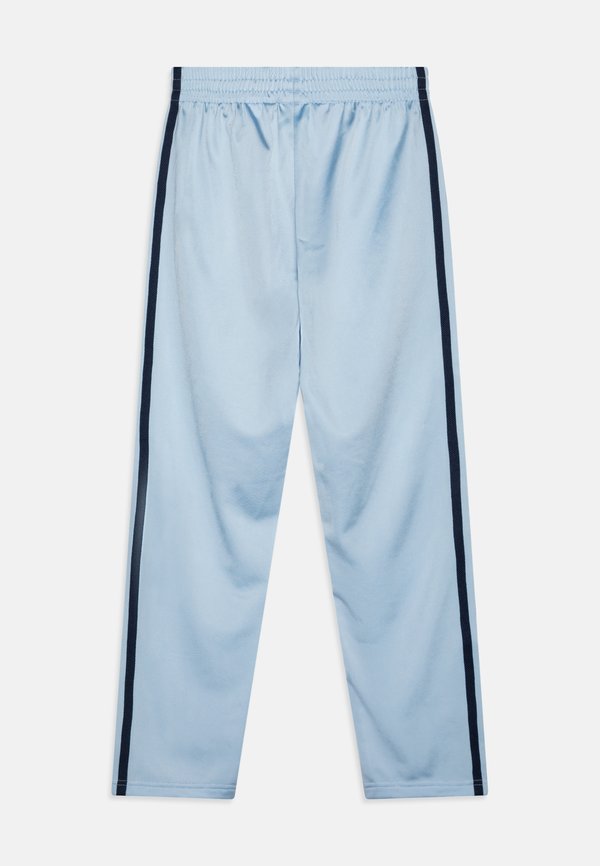 FIREBIRD UNISEX - Tracksuit bottoms - clear sky2