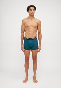 Puma MEN EVERYDAY 3 PACK - Bokserbriefs - green combo
