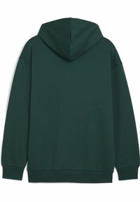 Žalia gobtuvu megztinis su minkšta tekstūra, ilgomis rankovėmis, laisvu siluetu ir reglamentuotais rankogaliais bei apačia. Tik nugaros vaizdas.