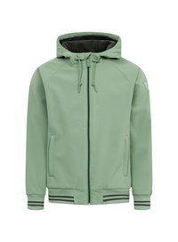 Unausgewählt, hedge green deep forest