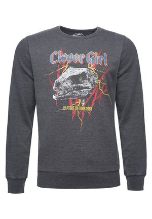 Re:Covered, JURASSIC PARK T-REX ROCK - Maglione - grey