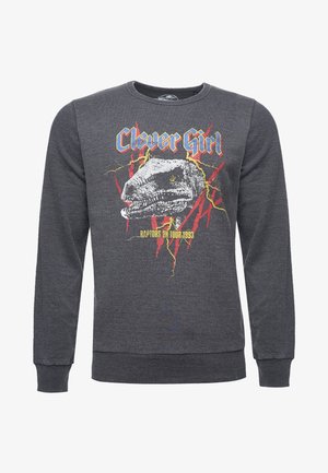 Re:Covered, JURASSIC PARK T-REX ROCK - Maglione - grey