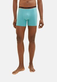 TOM TAILOR LONG PANTS 4 PACK - Uske bokserice - green/medium horizontal stripe