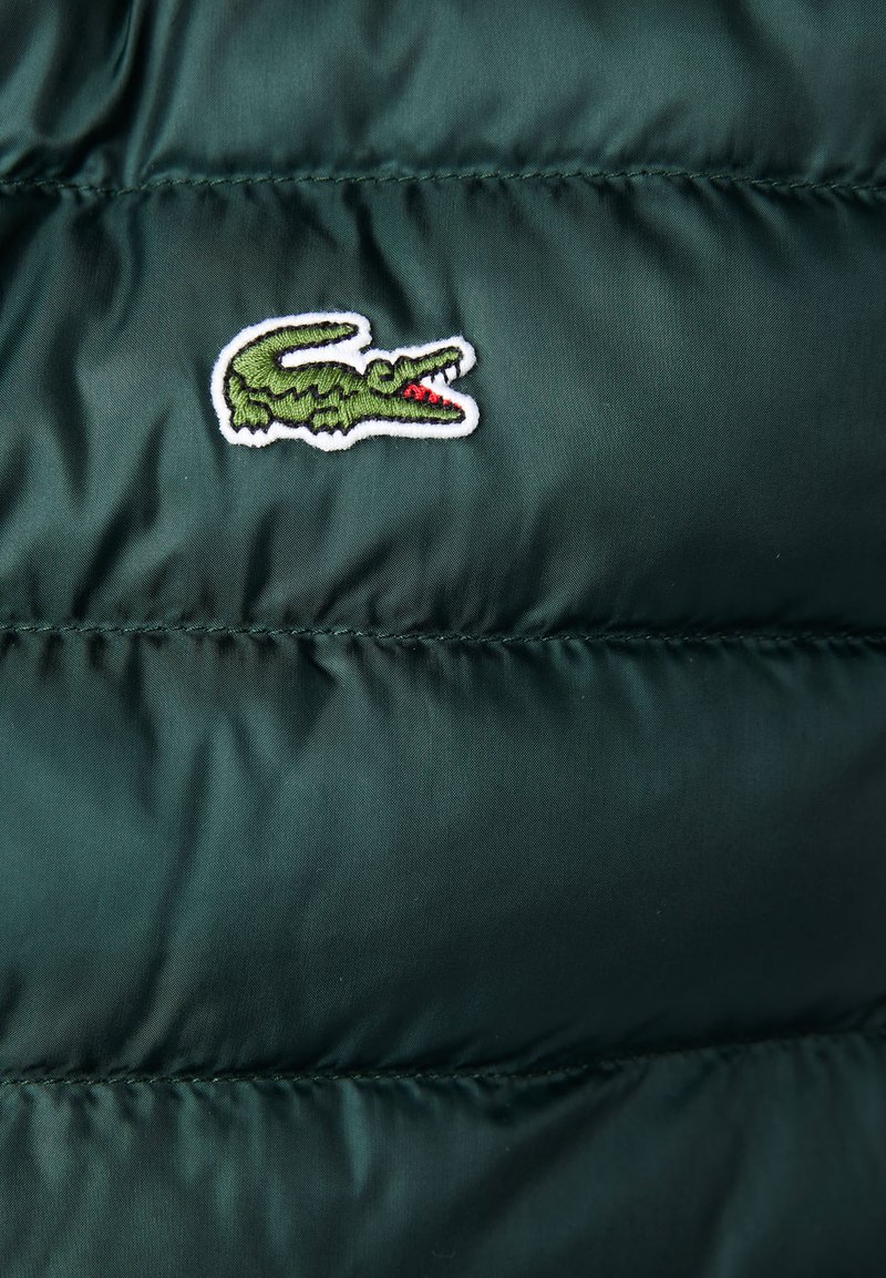 Chaqueta acolchada de nailon verde oscuro, con un logo de cocodrilo bordado en blanco y verde y costuras acolchadas horizontales.