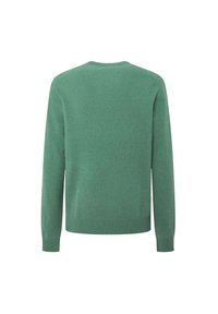 Grön stickad tröja med rund halsringning, långa ärmar och ribbade muddar. Slät textur, bakvy, utan några mönster eller detaljer.