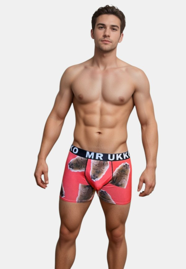3-PACK ANIMAL SERIES - Boxerbriefs - llama beaver monkey