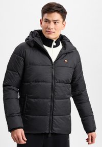 Schwarze Daunenjacke mit Reißverschluss auf der Vorderseite, ausgestattet mit einer Kapuze und horizontaler Steppung. Ein kleines Logo in der Nähe des Kragens fügt ein Detail hinzu.