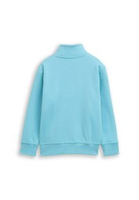 Lichtblauwe sweatshirt met een hoge kraag, lange mouwen en geribde manchetten en onderrand. Soepele textuur; minimaal ontwerp zonder patronen of accenten.