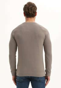 Grijze langekleurige ribbeltrui met een ronde halslijn en een aansluitende pasvorm, getoond vanuit de achterkant, gecombineerd met blauwe denim jeans.