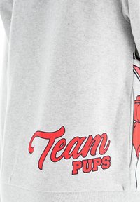 Grauer Kapuzenpullover mit glatter Textur, der roten "Team PUPS"-Schrift und einem grafischen Design an der Seite.
