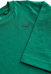Next LONG SLEEVE - STANDARD - Maglietta a manica lunga - emerald green
