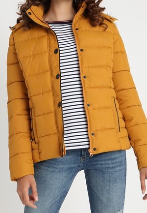 Kaporal Winter jacket - mustard yellow