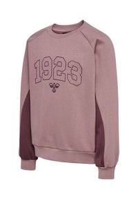 Ljusrosa sweatshirt med "1923"-tryck, raglanärmar och vinröda sidodetaljer. Tillverkad av mjukt, texturerat tyg med ribbade muddar.