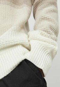 Jack & Jones FARBVERLAUF - Jumper - marshmallow