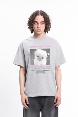 PUFF DISTRESSED  - Trükipildiga T-särk - grey melange