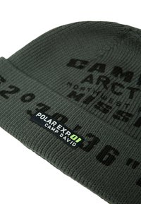 Knit beanie in dark green with ribbed texture. Features black printed text and a label with "POLAR EXP. 01 CAMP DAVID" in white and green.