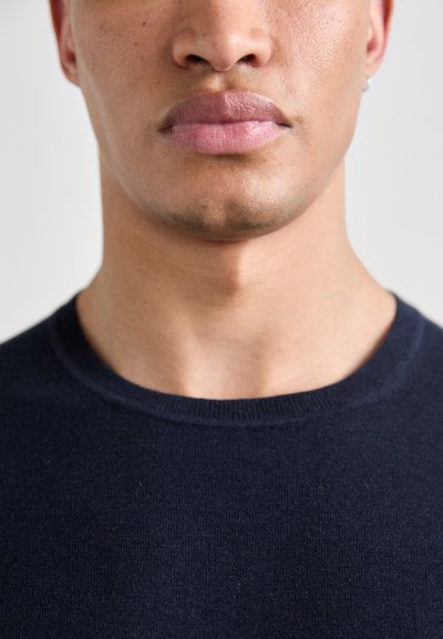 Tiger of Sweden MICHAS - Pullover - light ink