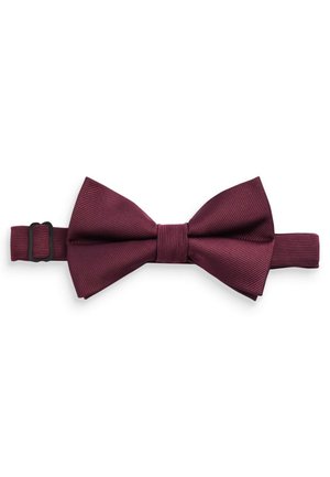 STANDARD - Motýlik - burgundy red