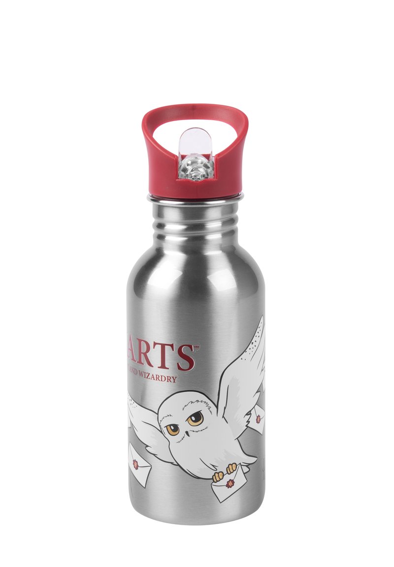 Bottiglia d'acqua in acciaio inossidabile con un tappo di plastica rosso, con una grafica di un gufo che consegna lettere e la parola "ARTS" in grassetto rosso.