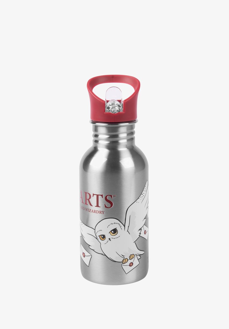 Bottiglia d'acqua in acciaio inossidabile con un tappo di plastica rosso, con una grafica di un gufo che consegna lettere e la parola "ARTS" in grassetto rosso.