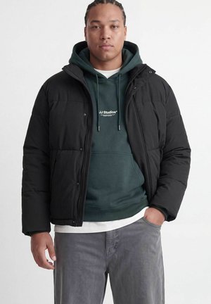Jeune homme aux cheveux tressés portant une doudoune noire par-dessus un sweat à capuche vert et un pantalon gris, debout avec une main dans la poche.