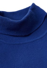 Blauer Rollkragenpullover mit gerippter Textur, der einen dicken gestrickten Kragen und einen glatten Körper aufweist. Keine Muster oder Akzente sichtbar.