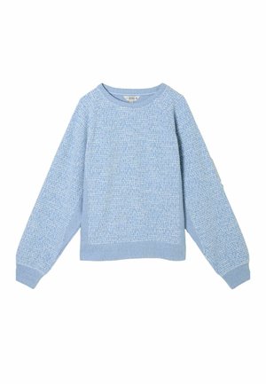 Light blue knit sweater featuring a textured finish, round neckline, and dropped shoulders. Ribbed cuffs and hem complete the design.