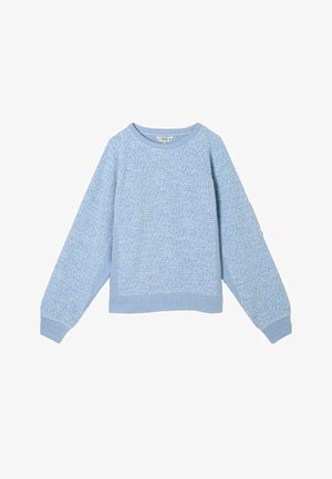 Hellblauer Strickpullover mit strukturierter Oberfläche, rundem Ausschnitt und überschnittenen Schultern. Bündchen an Ärmeln und Saum runden das Design ab.