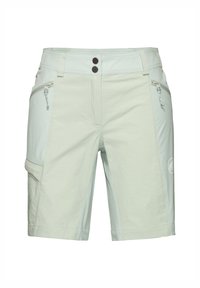 Mammut DUCAN - Träningsshorts - silver sage