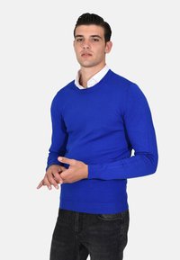 Maglione blu realizzato in tessuto a maglia liscia con scollatura rotonda e polsini a costine, abbinato a jeans scuri. Nessun motivo o dettaglio particolare.