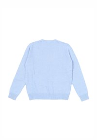 Maglione lavorato a maglia di colore azzurro chiaro, con scollo rotondo, maniche lunghe e polsini e orlo a coste. Il retro è semplice con una texture liscia.