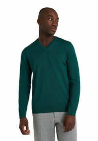 FALKE BASIC NEW MERINO V-NECK - Maglione - pink