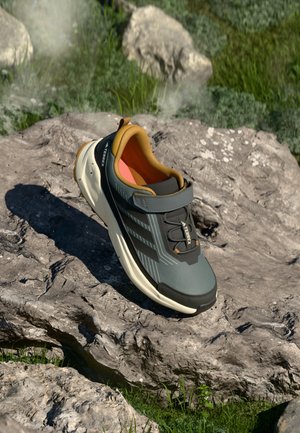 Adidas Terrex TRAILMAKER 2 UNISEX - Obuća za pješačenje - grey six/core black/bronze strata