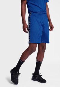 Pantalones cortos deportivos azules hechos de un tejido ligero, con rayas en forma de chevrón negras a los lados, y una cintura elástica para mayor comodidad.