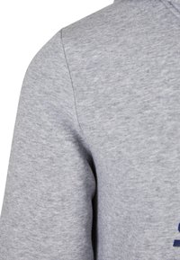 Grijze sweatshirt met een zachte textuur, geribde mouwen en een klassieke capuchon; bevat een eenvoudig marineblauw logo op de voorkant.