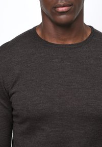 PROFUOMO THE MERINO CREW-NECK - Maglione - dark brown