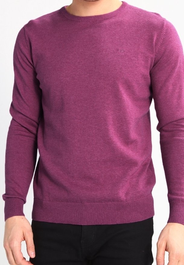 Homme portant un pull violet uni à manches longues avec poignets et ourlet côtelés, associé à un pantalon noir, torse et bras visibles.