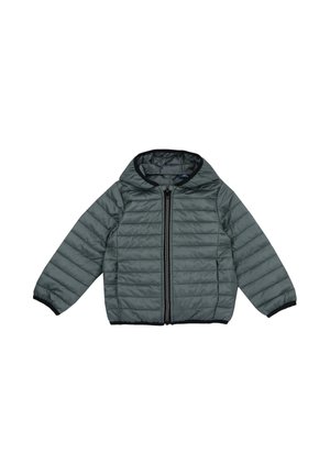Chicco OUTERWEAR - Veste d'hiver - green