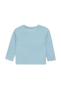 Lichtblauwe T-shirt met lange mouwen en ronde hals, gemaakt van zachte katoen. Eenvoudig ontwerp, geen zichtbare patronen of accenten. Achteraanzicht.
