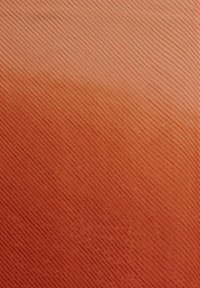 FRAAS OMBRE STOLA - Šál - terracotta