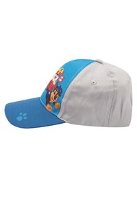 Blue and gray cap featuring cartoon dog characters on the front, with a paw print on the brim and stitching details. Cotton material.