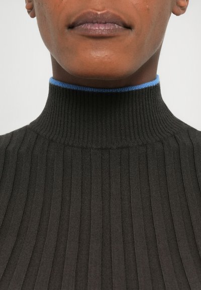 Pulover turtleneck negru cu nervuri, având o margine de culoare albastru deschis la guler. Materialul pare moale și se potrivește strâns.