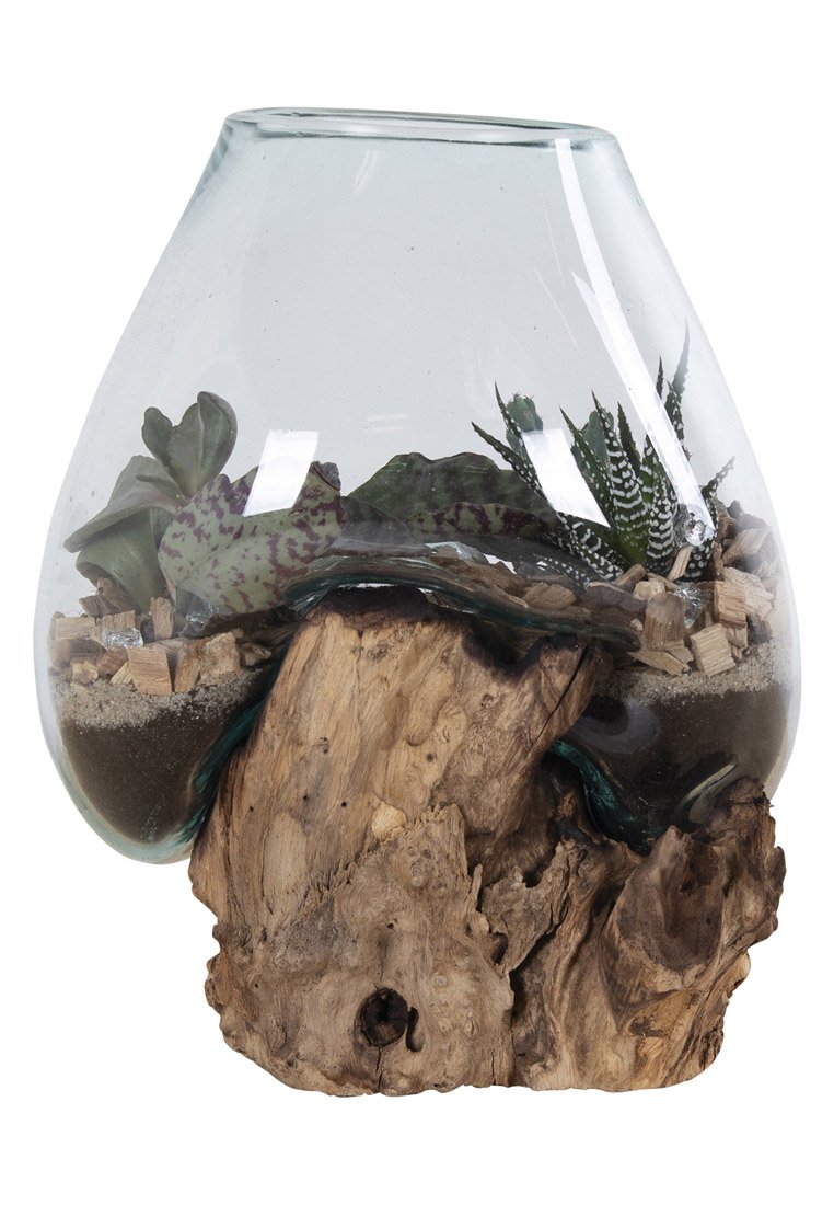 Glazen terrarium met een afgeronde top, met verschillende vetplanten, houten accenten en steentjes. Bevat donkere aarde en decoratieve elementen.