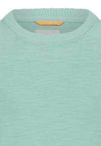 Lichtblauwe gebreide trui met geribde ronde hals en zichtbare merkje binnenin de kraag.