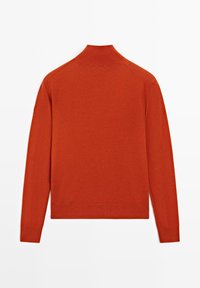 Langärmliger Pullover in Rostfarbe mit hohem Kragen, von hinten auf weißem Hintergrund gezeigt.