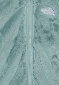 The North Face REVERSIBLE SHASTA JACKET UNISEX - Vinterjacka - muted pine