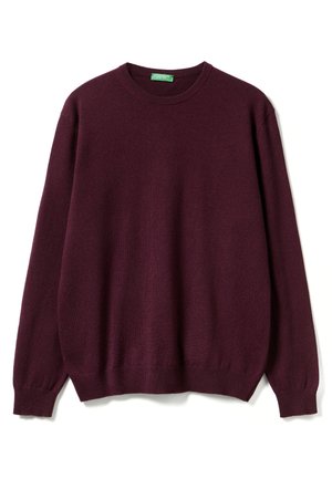 CREW NECK - Strickpullover - red